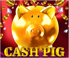 Cash Pig